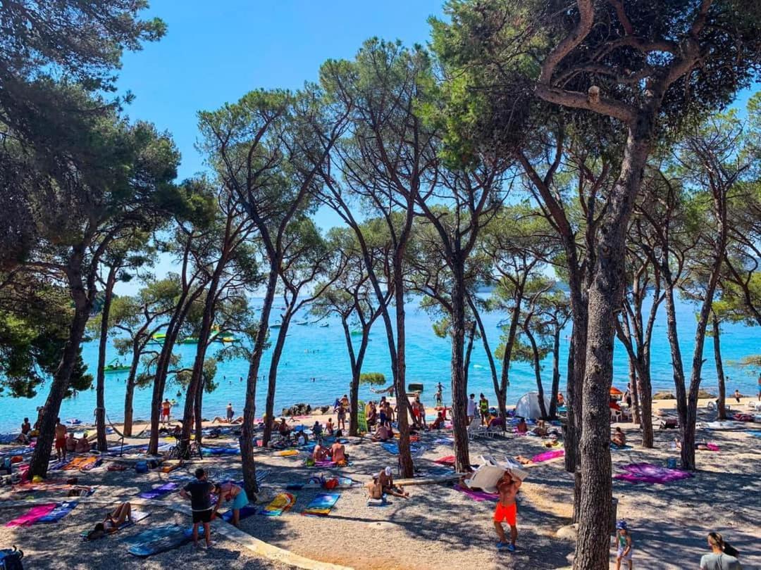 Apartmani Leon Biograd Na Moru Dış mekan fotoğraf